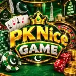 pknice game